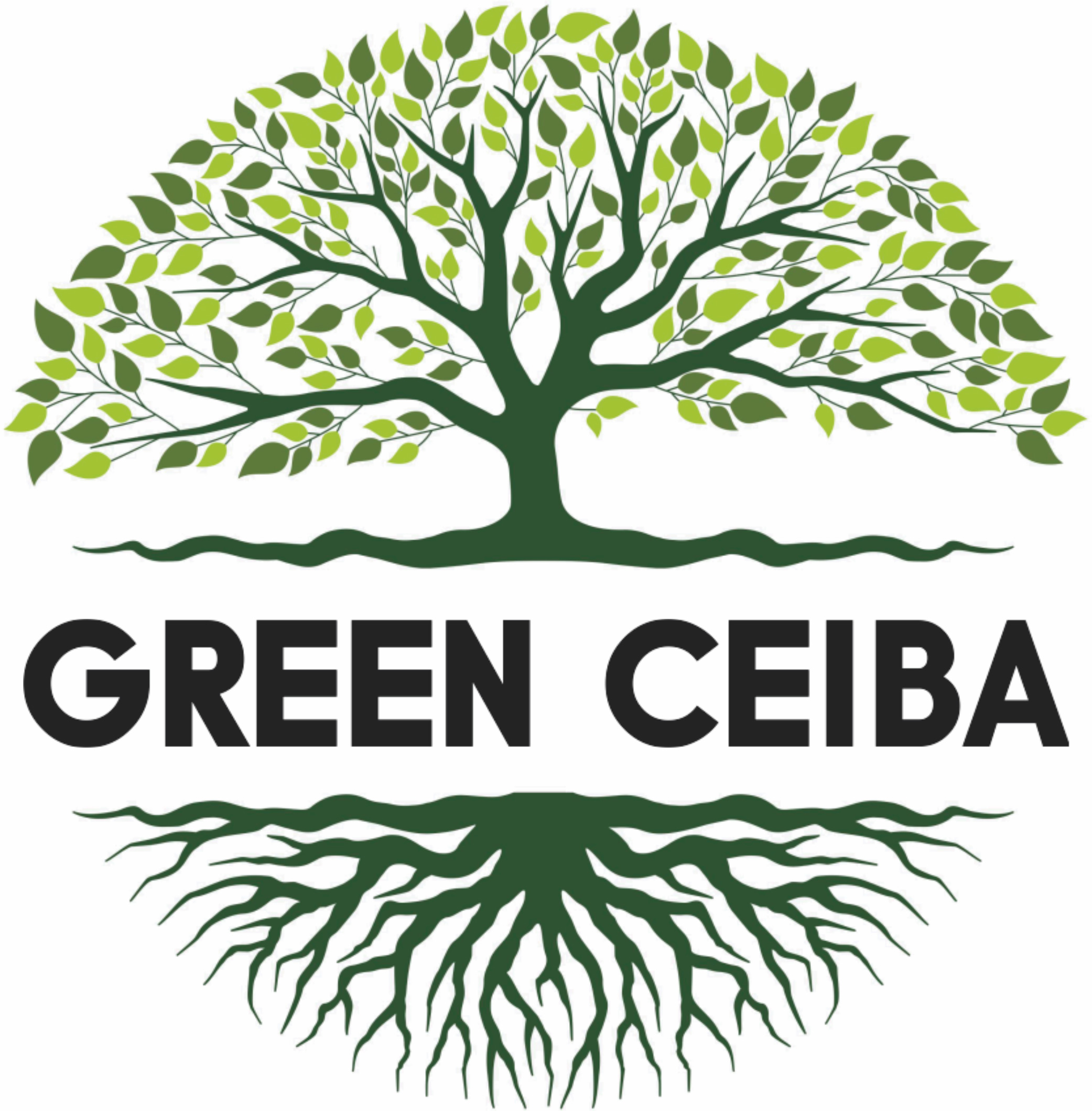 Green Ceiba